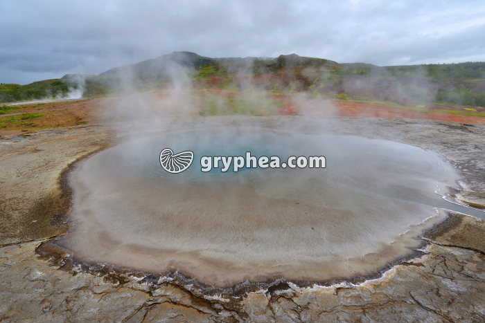 Geyser - Grand Geysir (Islande) - gryphea.org